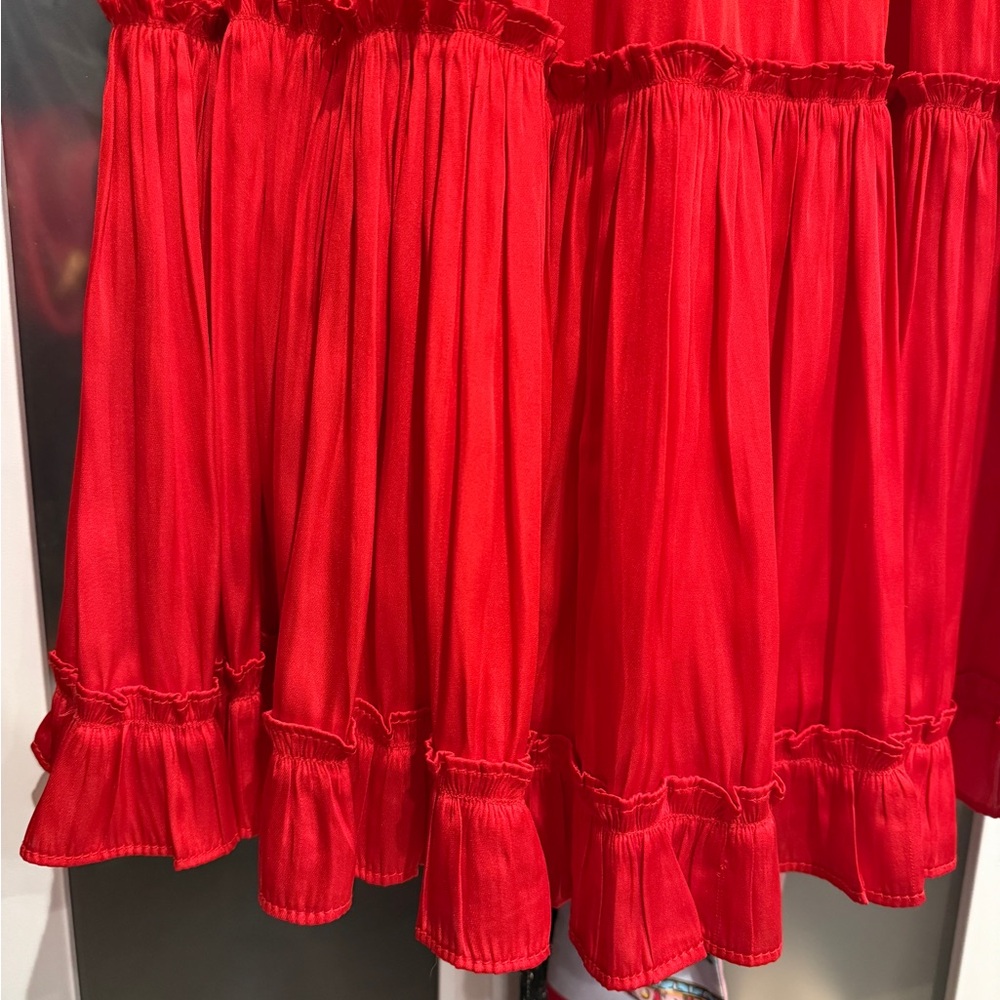 Reset Red Ruffled Dress - Picture 5 of 7